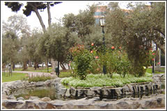 Parque de los Olivares