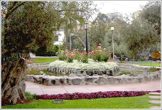 Parque El Olivar